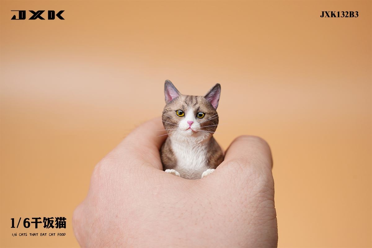 Dry Rice Cat 1/6