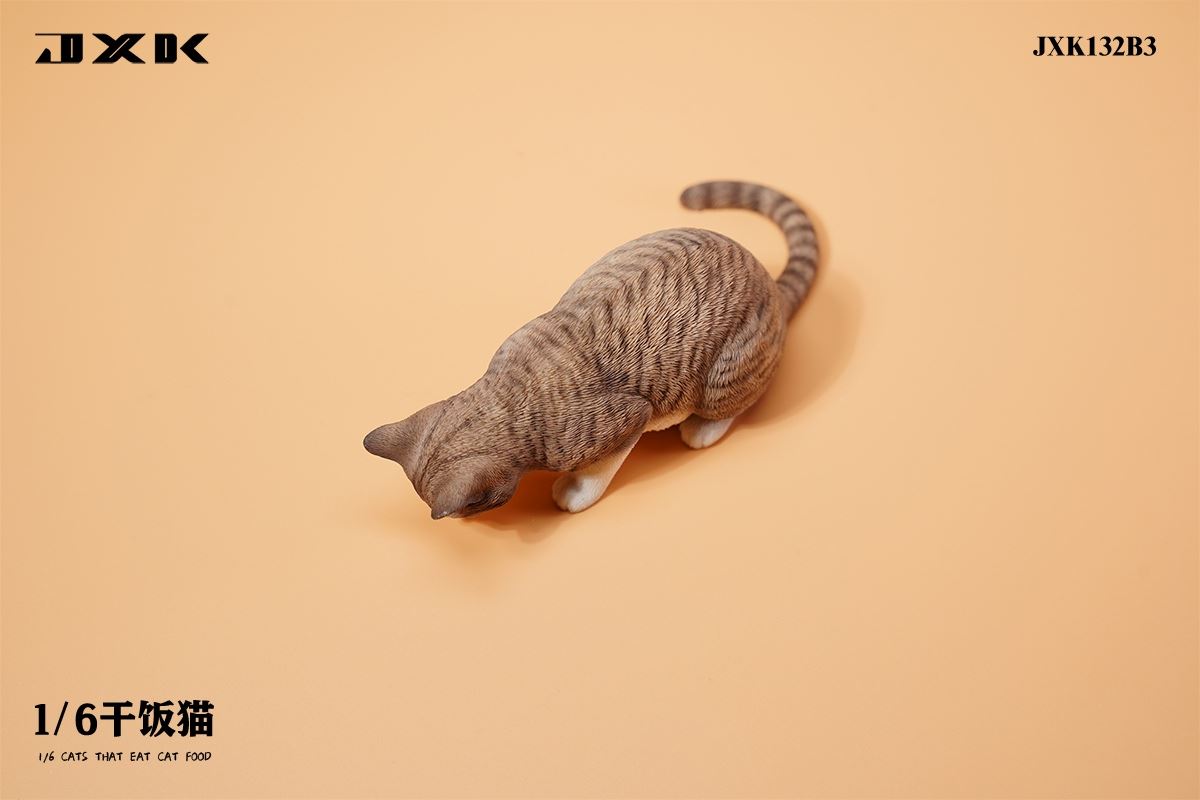Dry Rice Cat 1/6