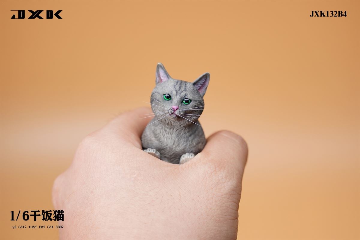 Dry Rice Cat 1/6