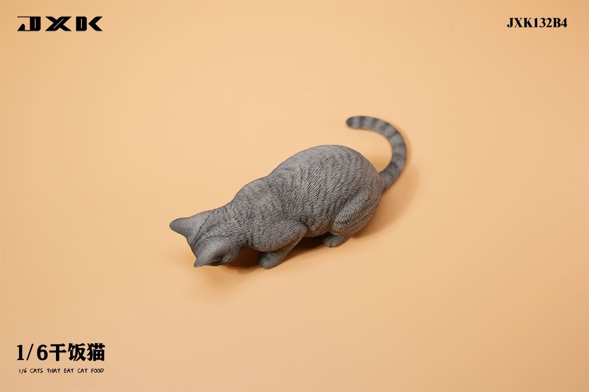 Dry Rice Cat 1/6