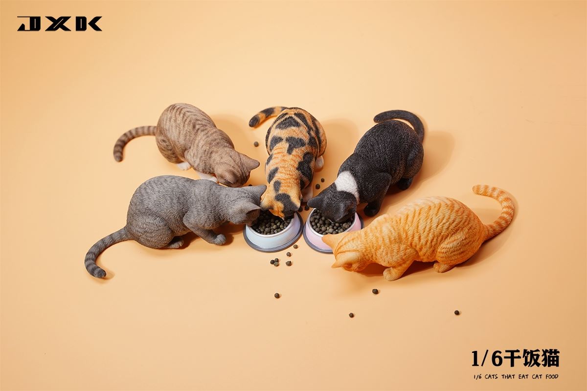 Dry Rice Cat 1/6
