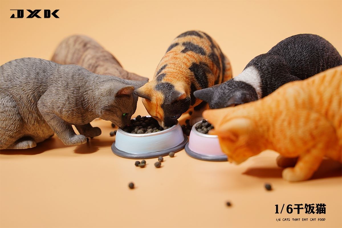 Dry Rice Cat 1/6