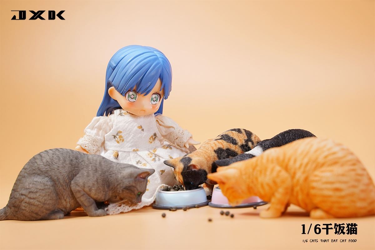 Dry Rice Cat 1/6