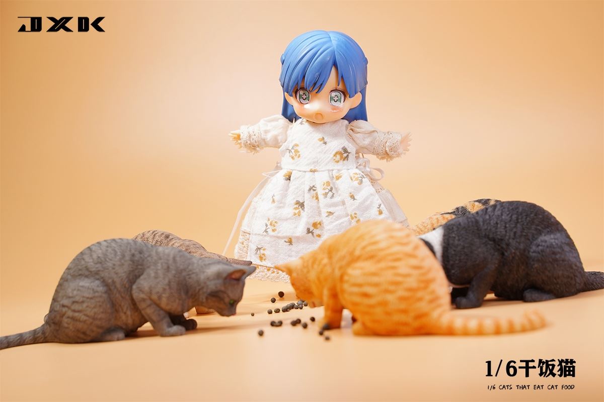 Dry Rice Cat 1/6