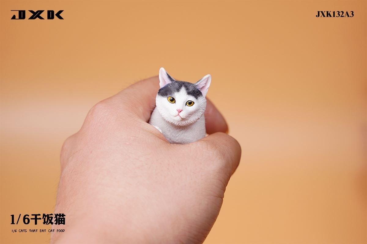 Dry Rice Cat 1/6