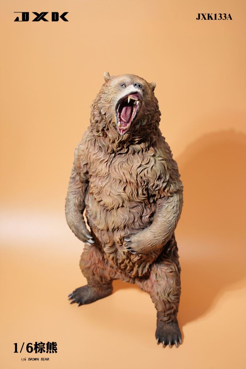 Brown bear 1/6