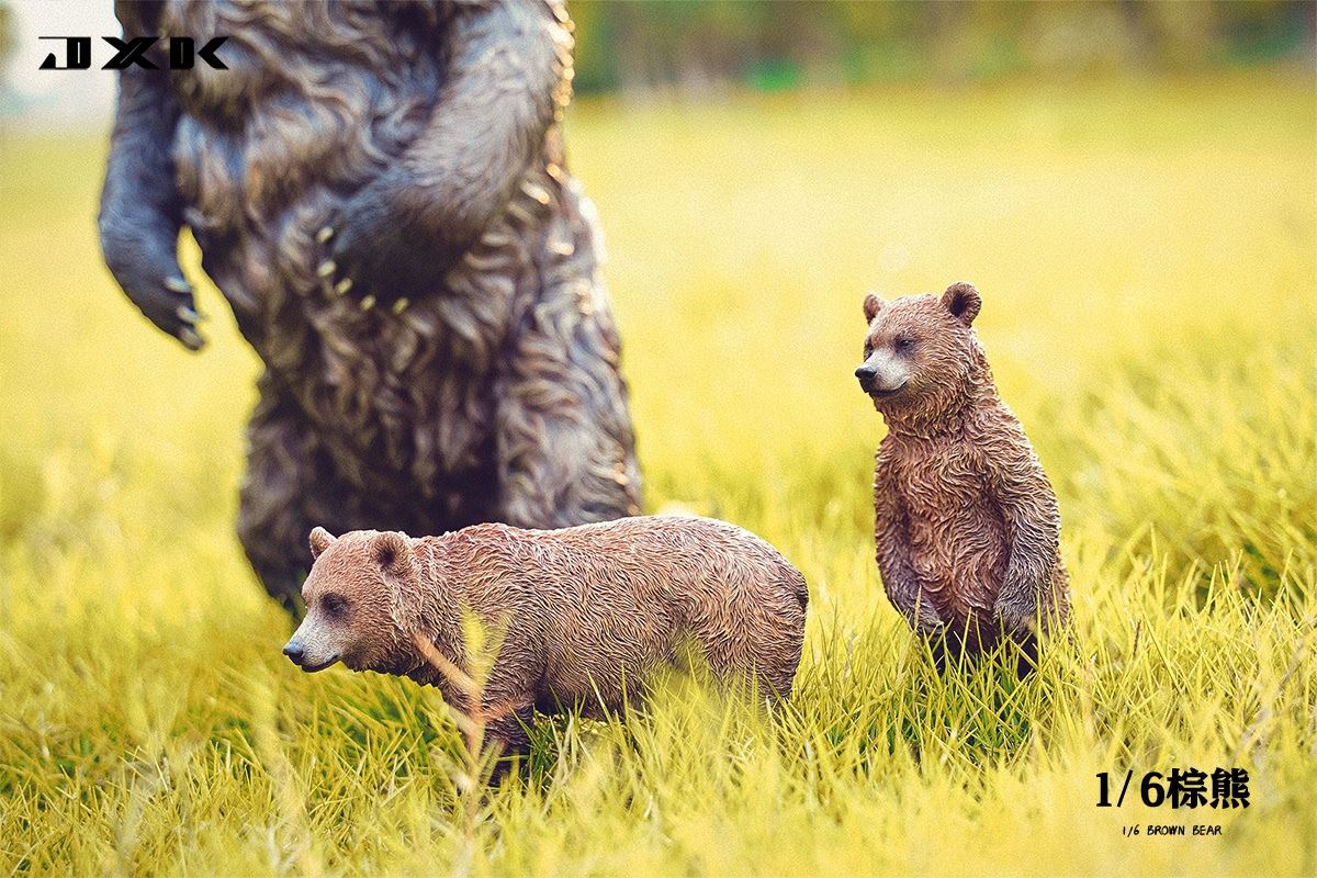Brown bear 1/6