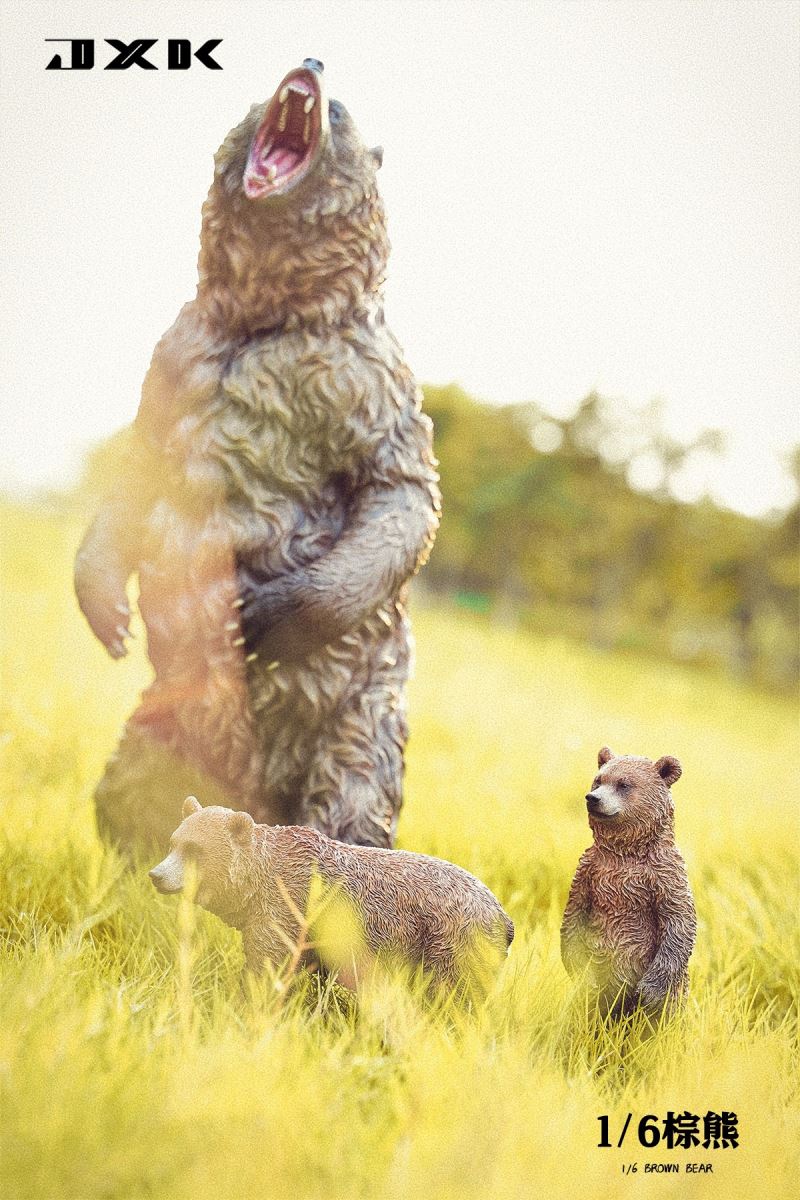 Brown bear 1/6