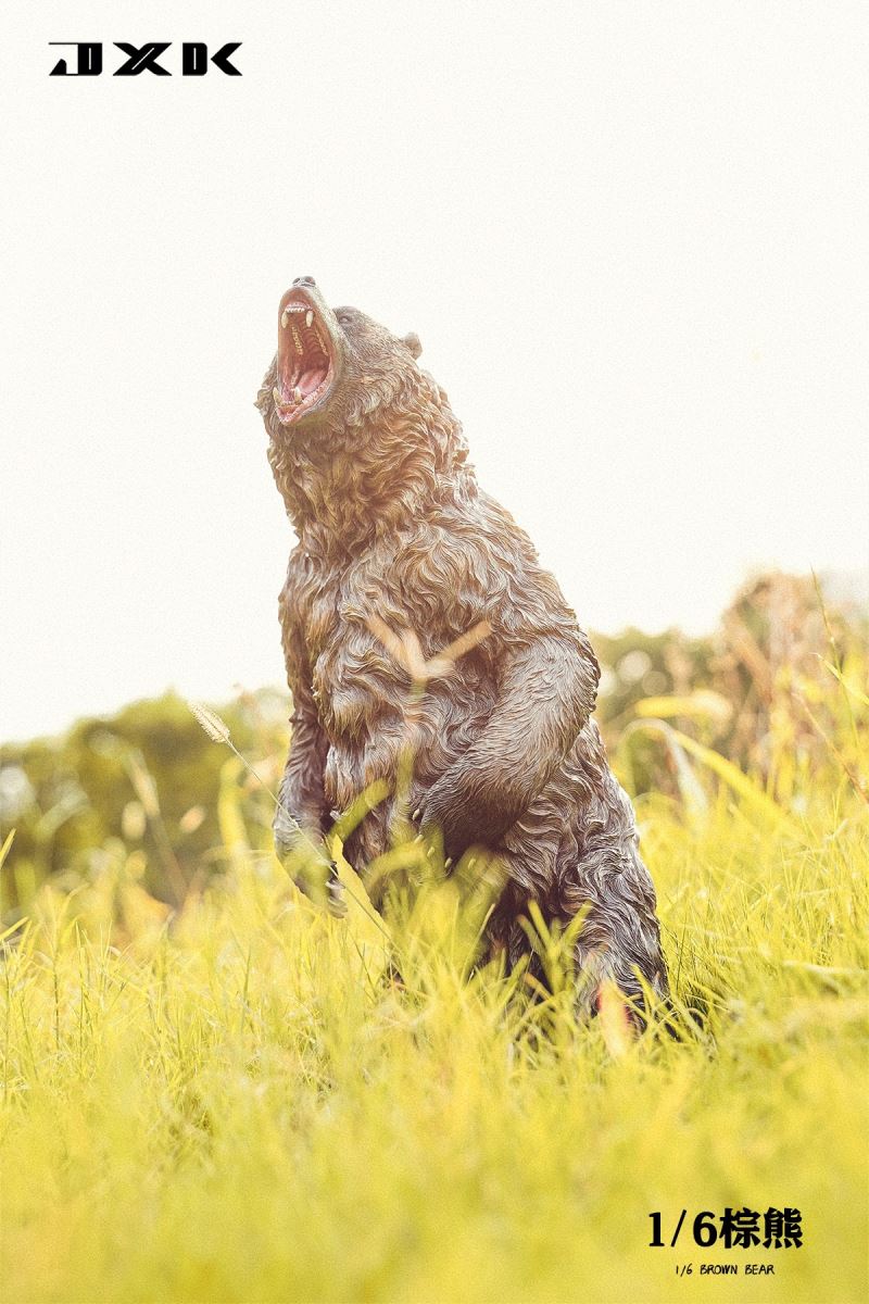 Brown bear 1/6