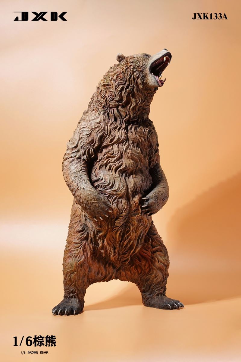 Brown bear 1/6