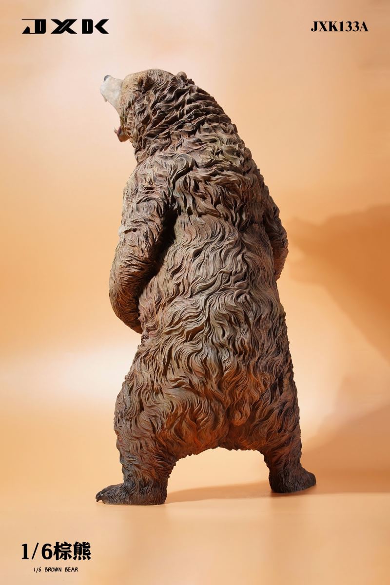 Brown bear 1/6