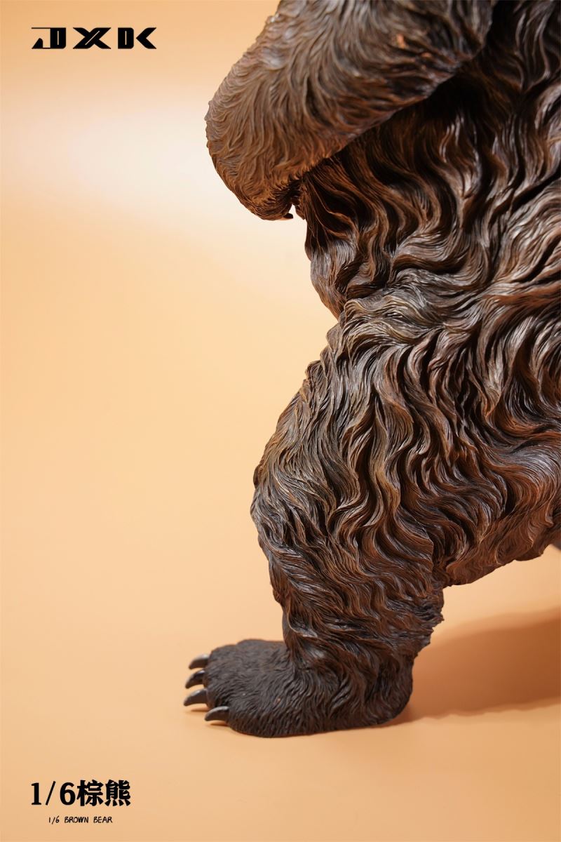 Brown bear 1/6