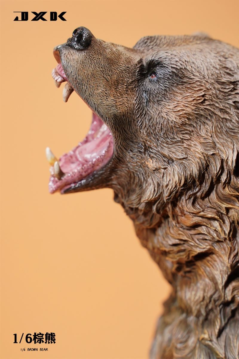 Brown bear 1/6