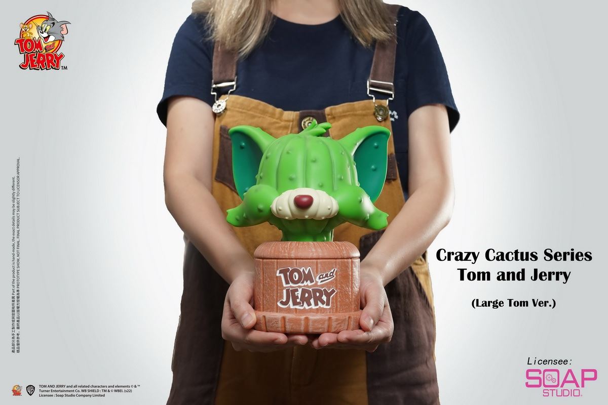 Tom and Jerry Crazy Cactus