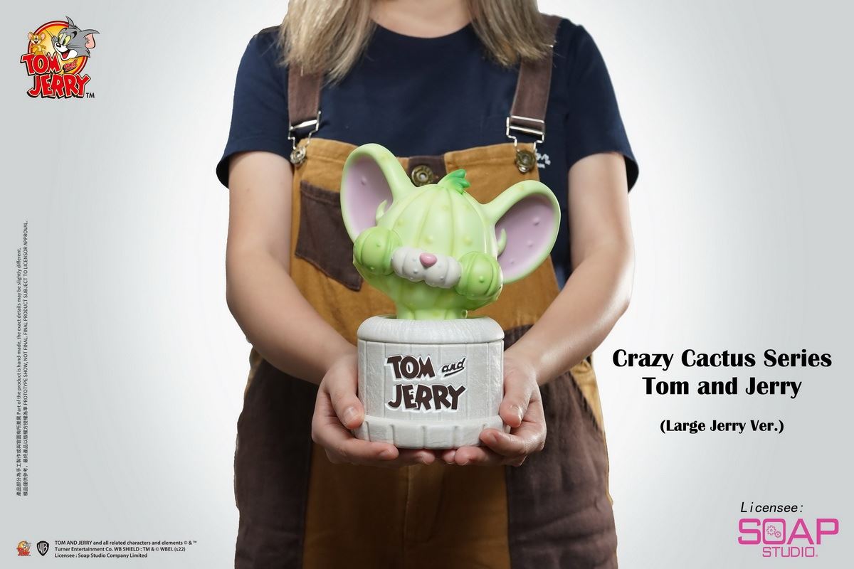 Tom and Jerry Crazy Cactus