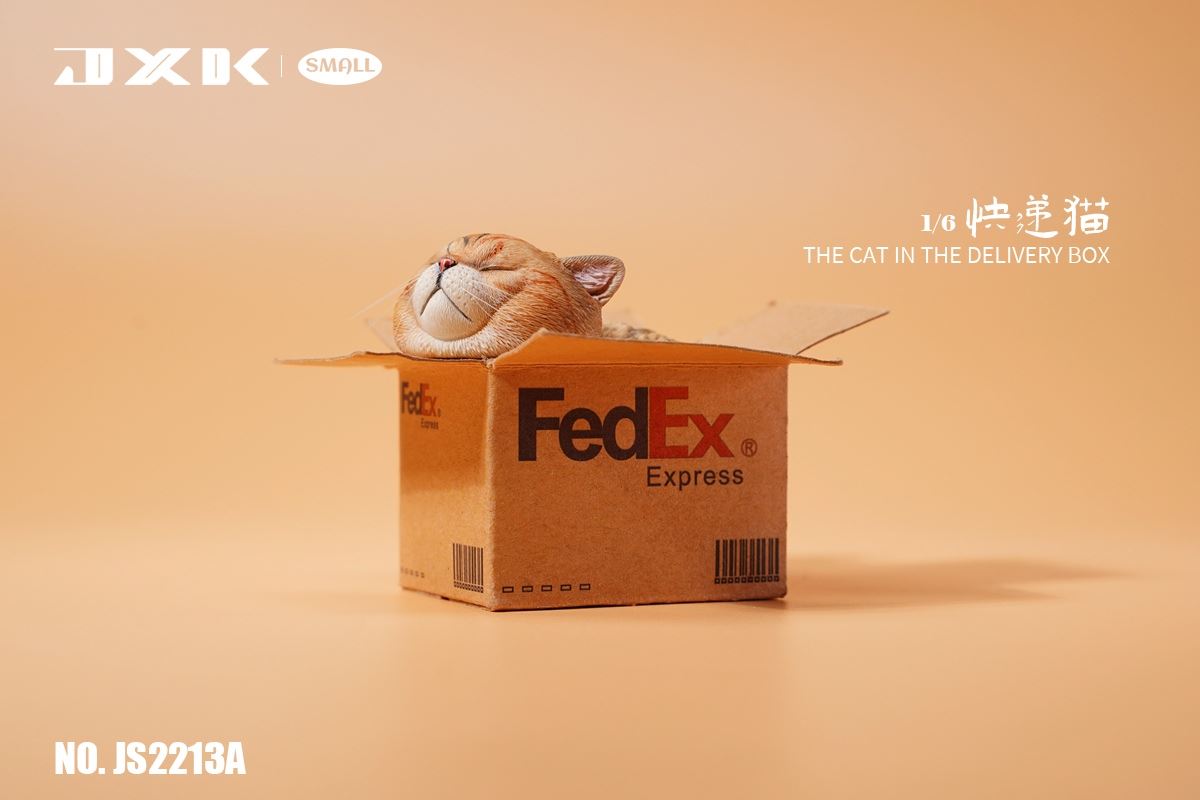 The Cat In The Delivery Box 1/6