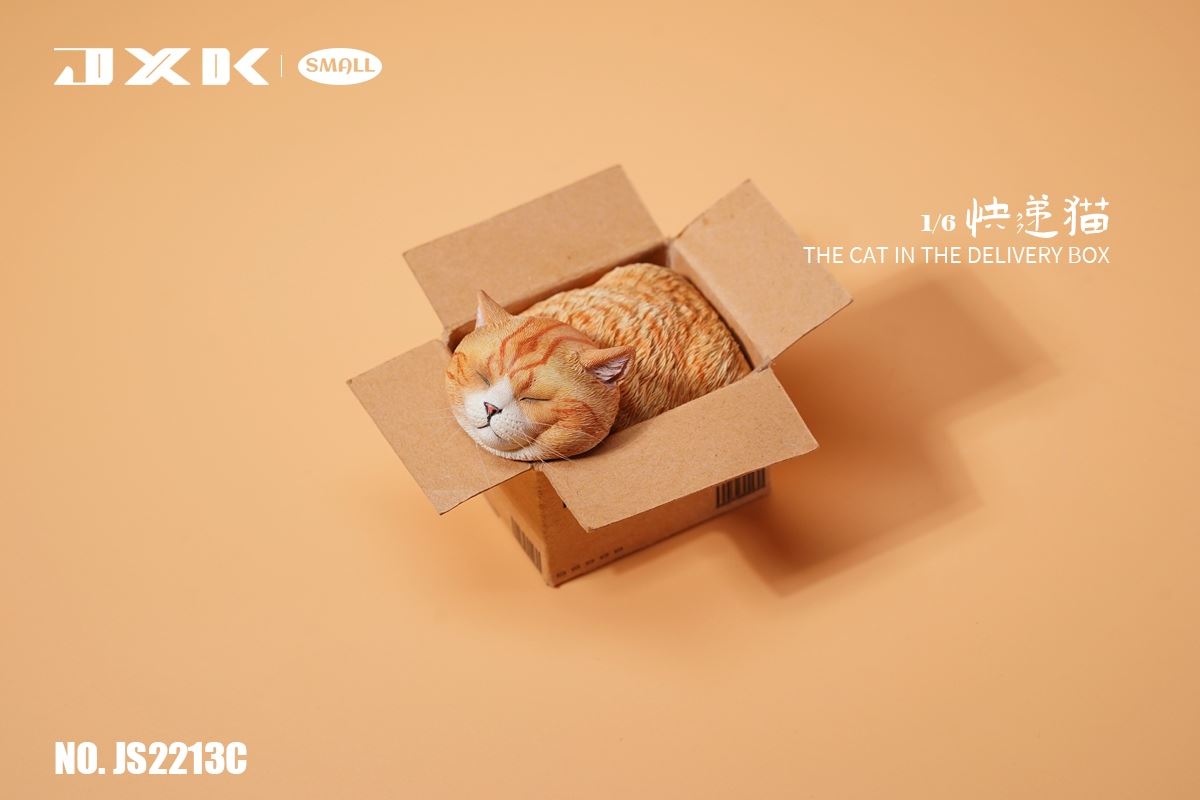 The Cat In The Delivery Box 1/6