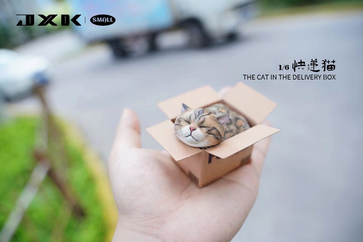 The Cat In The Delivery Box 1/6