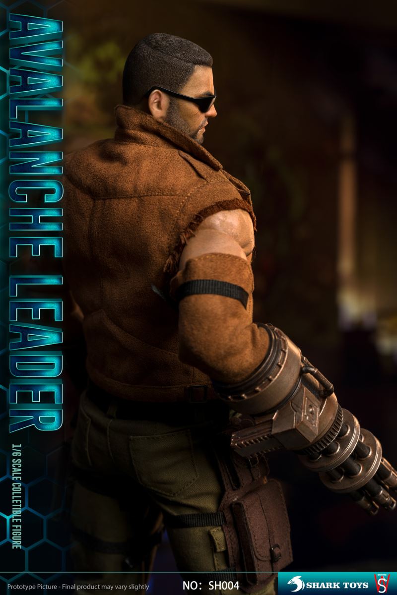 Avalanche Leader 1/6