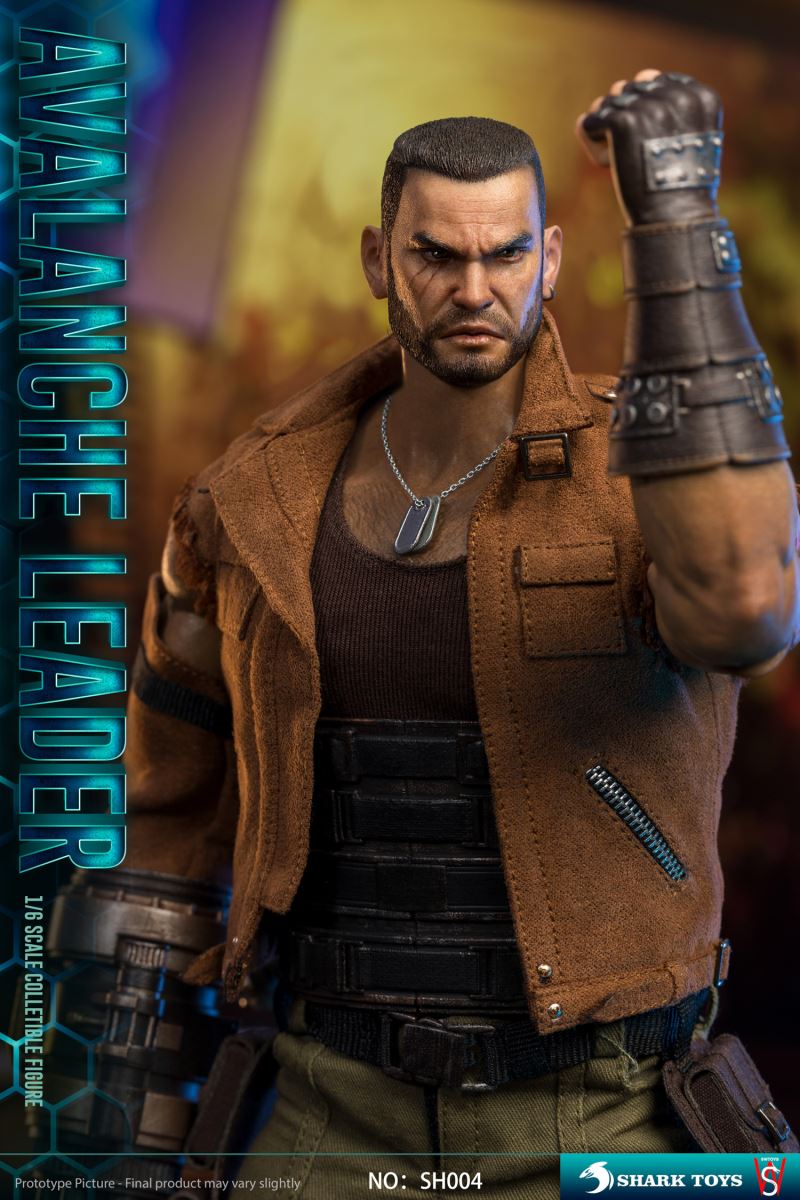 Avalanche Leader 1/6