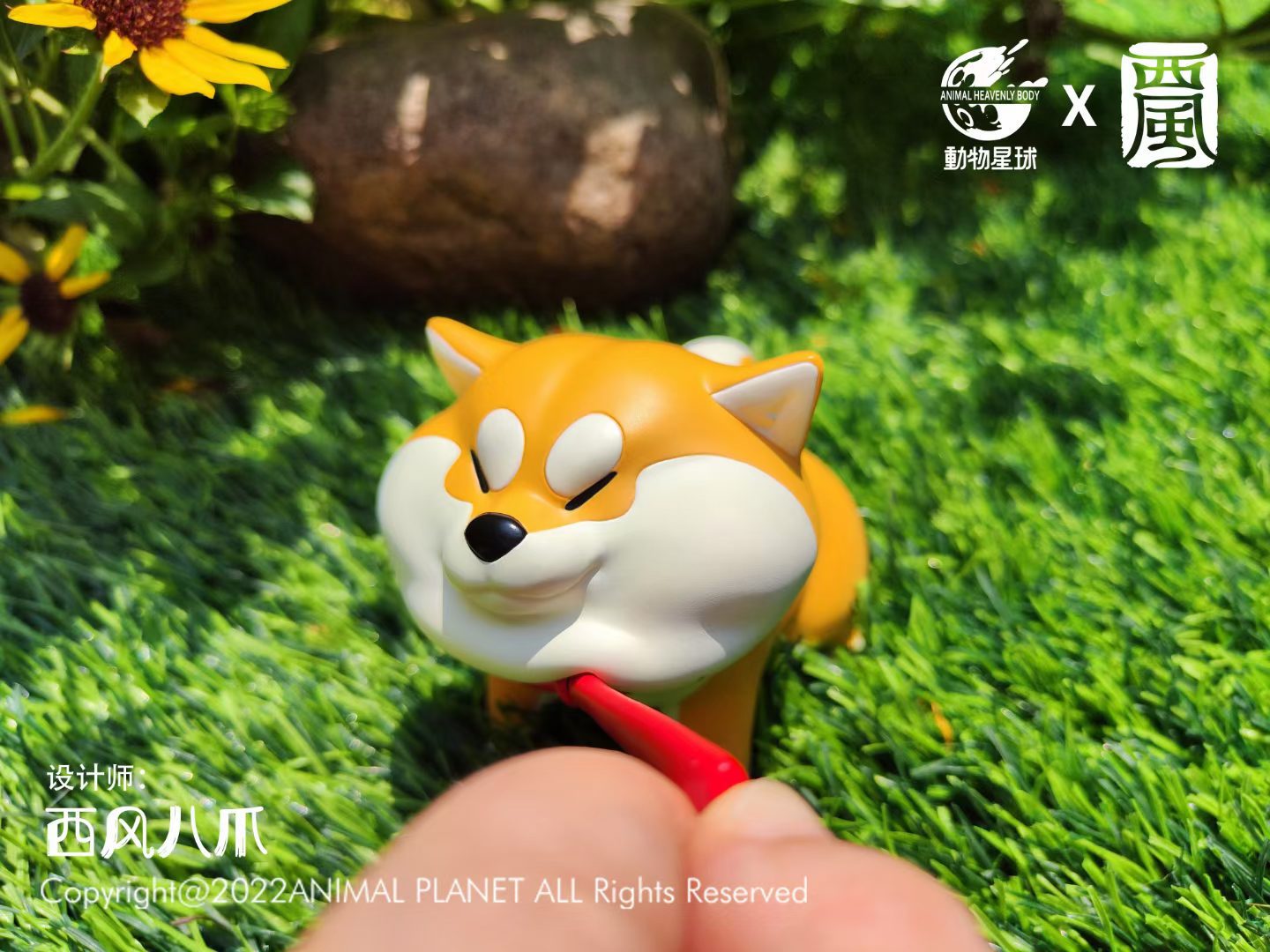 Interaction Akita