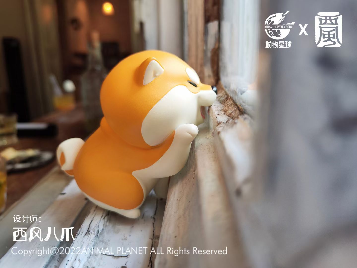 Interaction Akita
