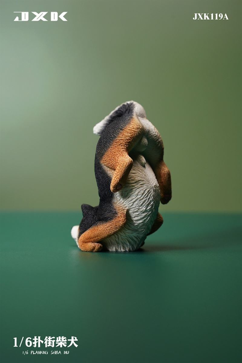 Shiba Inu (JXK119) 1/6