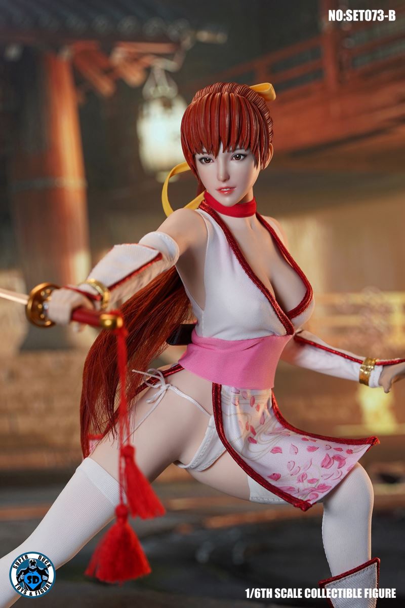 Sexy Ninja 1/6