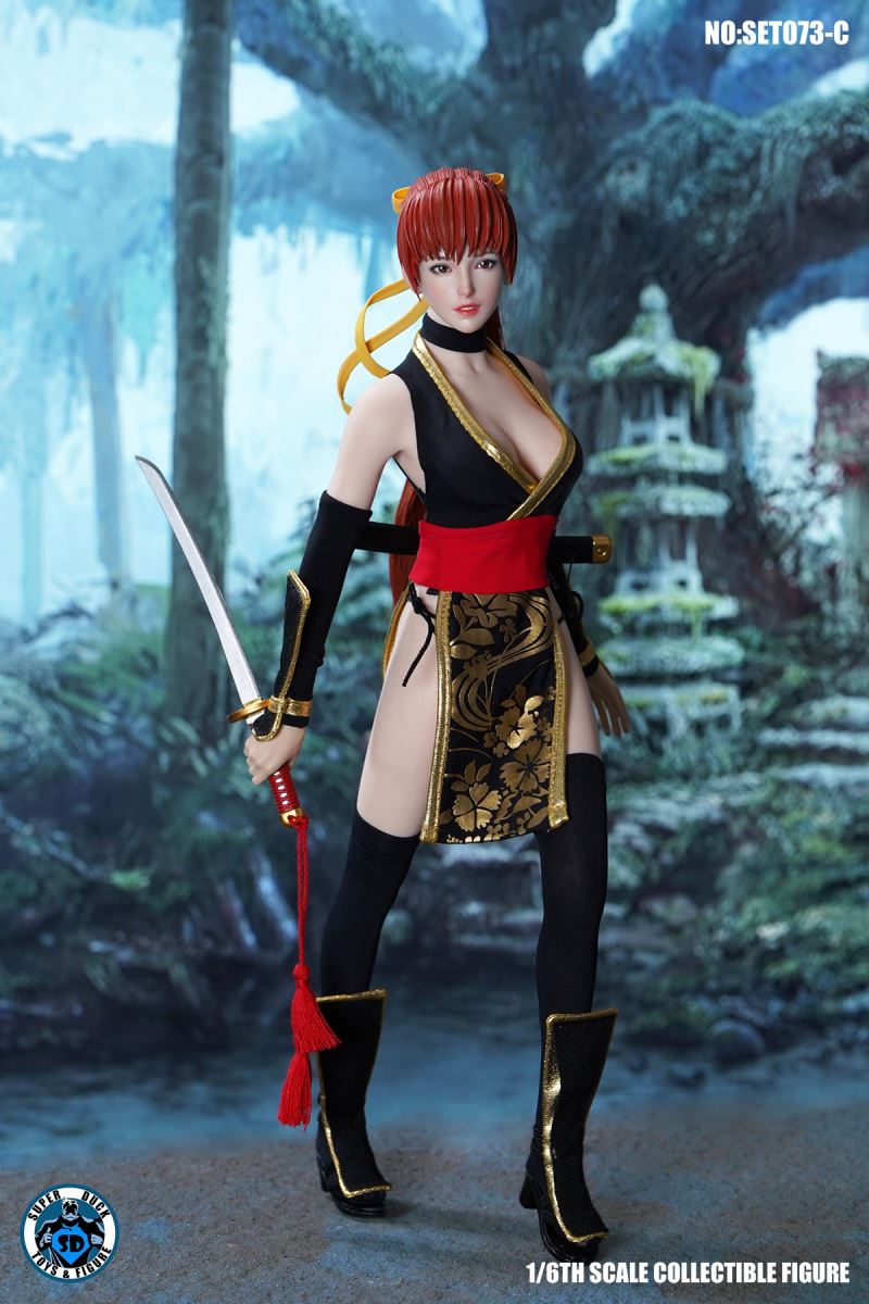 Sexy Ninja 1/6