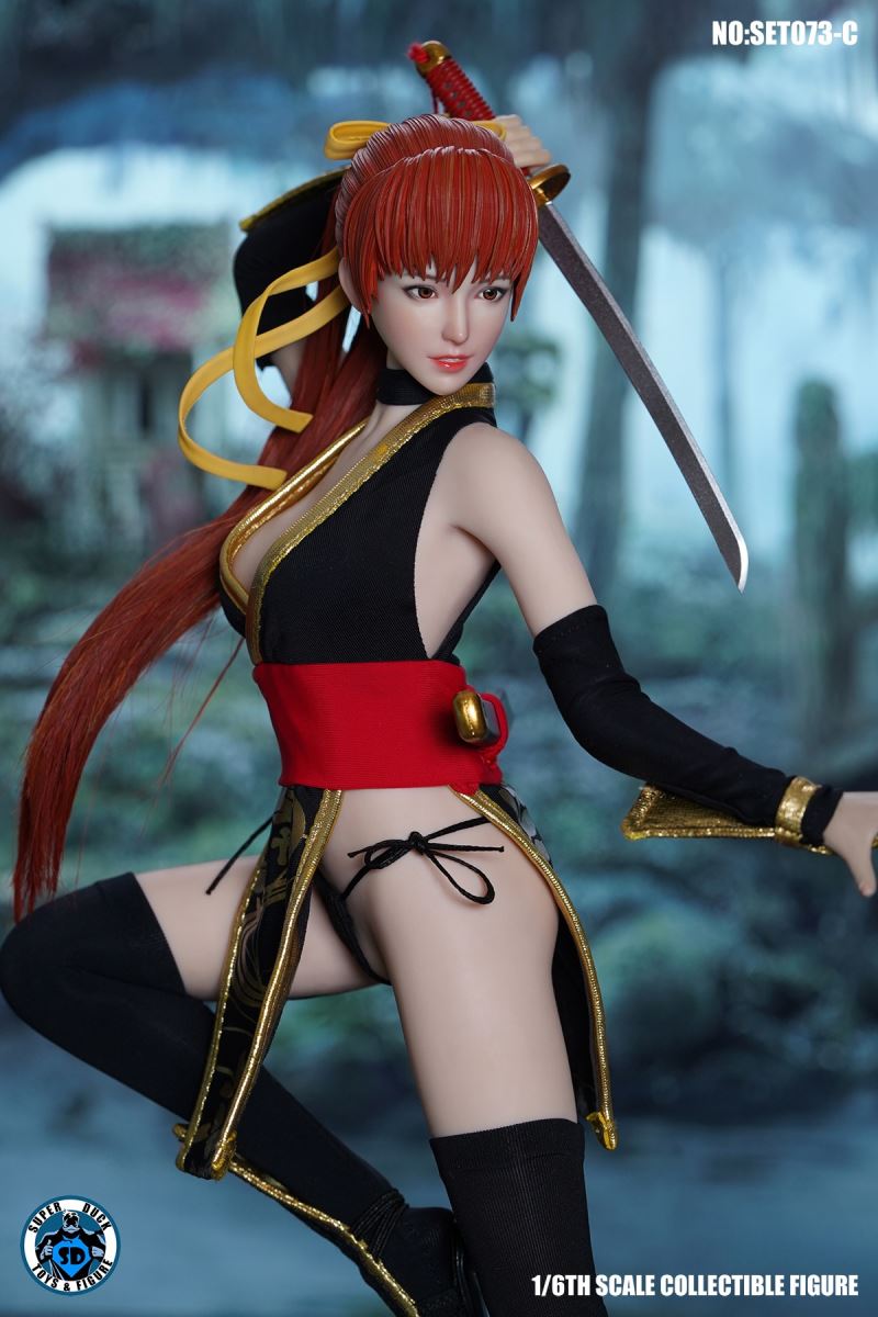 Sexy Ninja 1/6