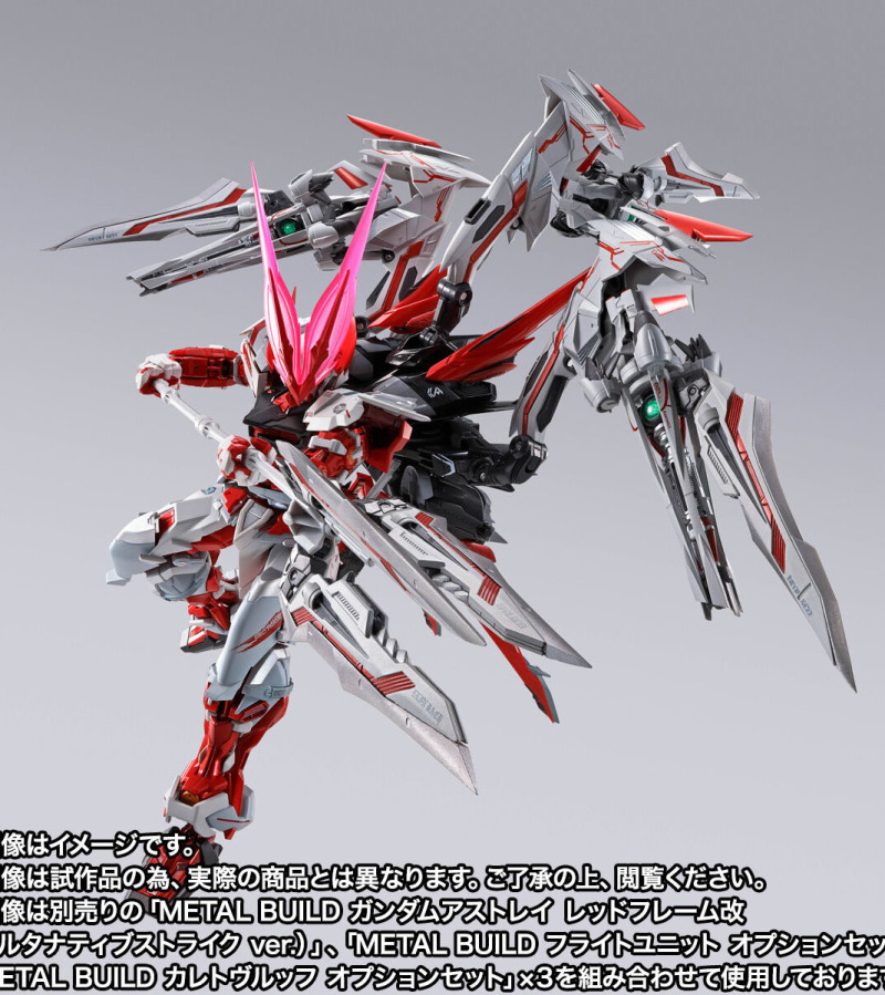 METAL BUILD  Astray Doraig Head Option Set