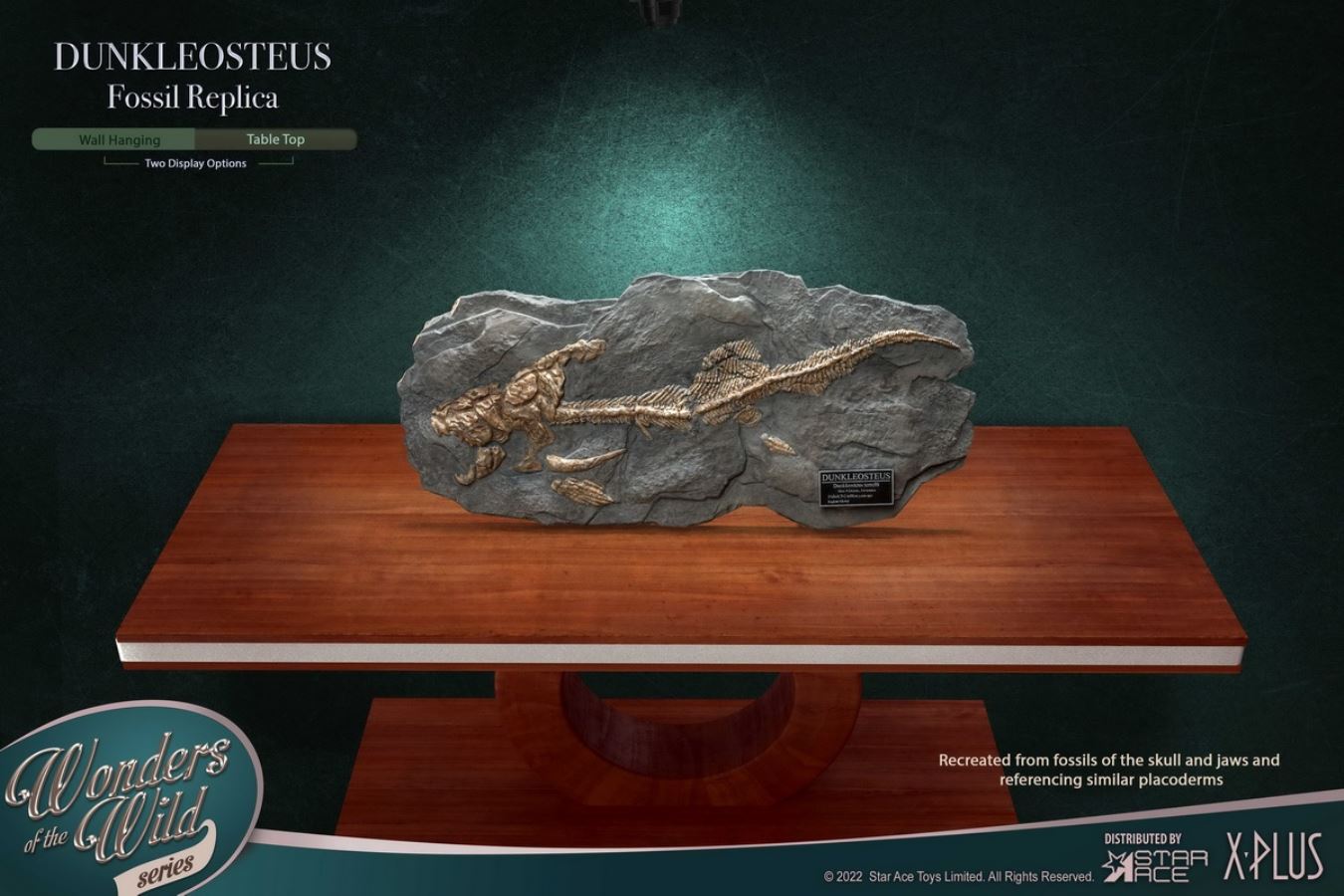 Dunn's Fish and Fish Fossil