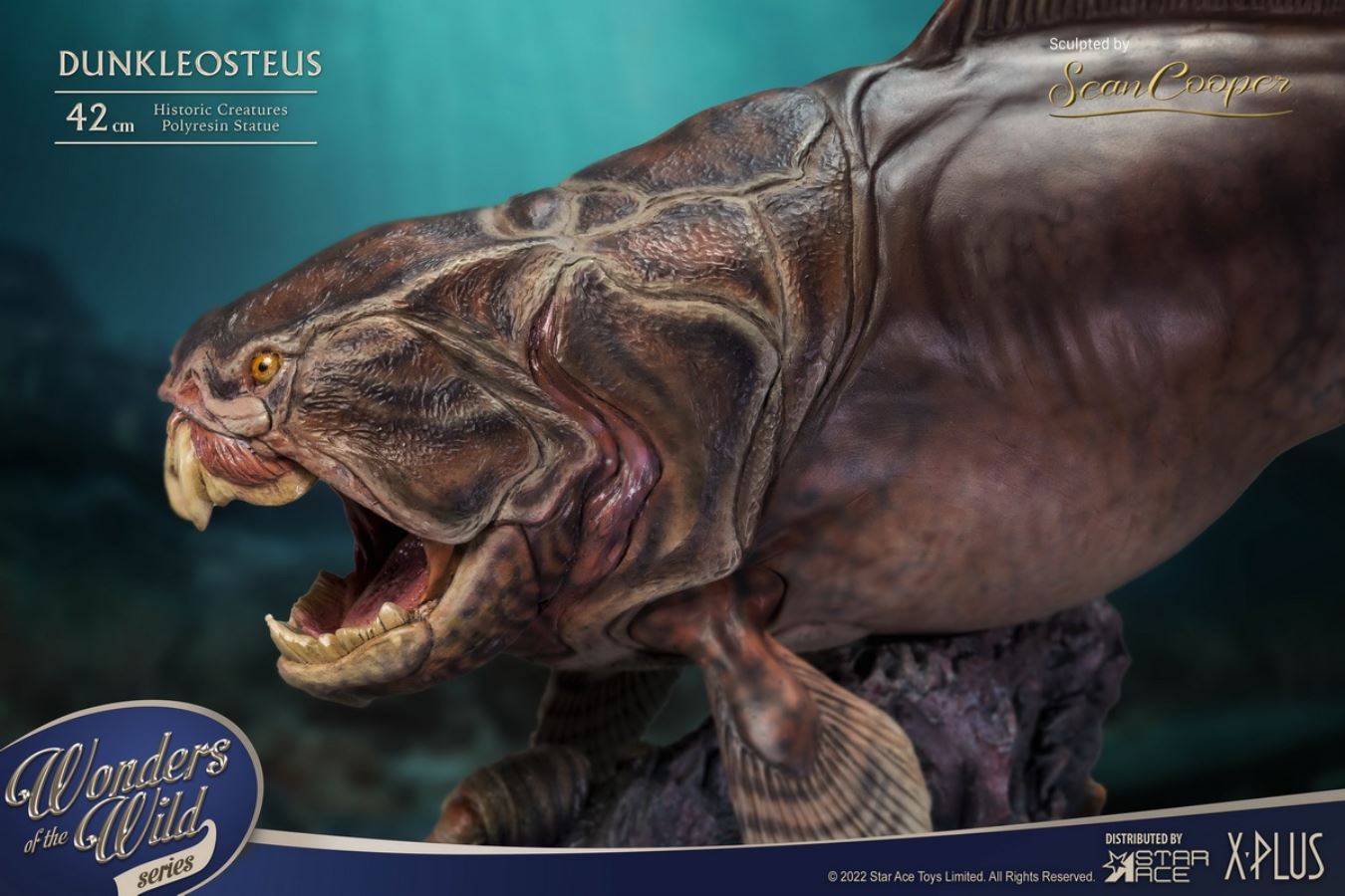Dunn's Fish and Fish Fossil