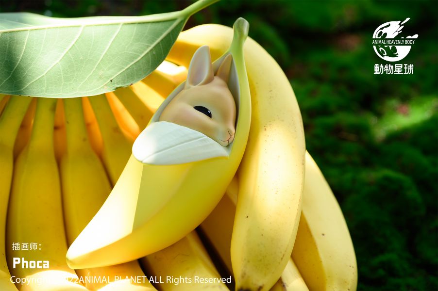 Banana Rabbit