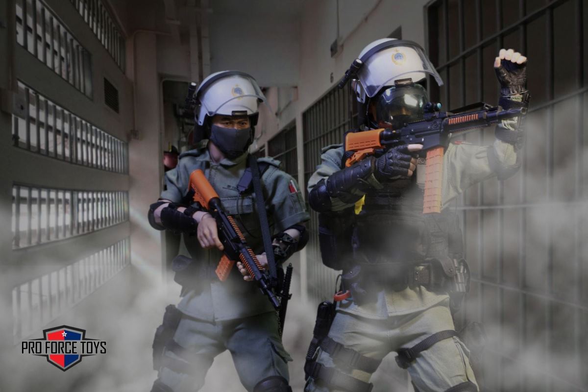 Correctional Services Department Regional Response Team Black Panther Team  1/6