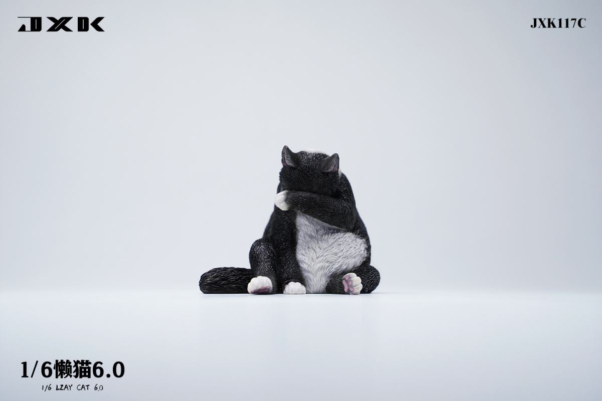 Lazy Cat 6.0 1/6
