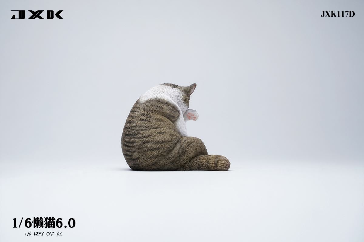 Lazy Cat 6.0 1/6