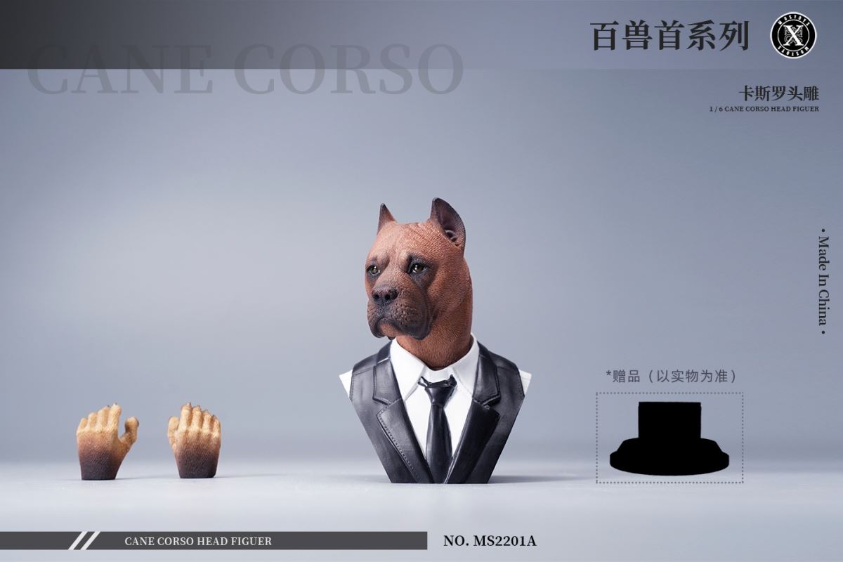 Cane Corso Head Figure 1/6