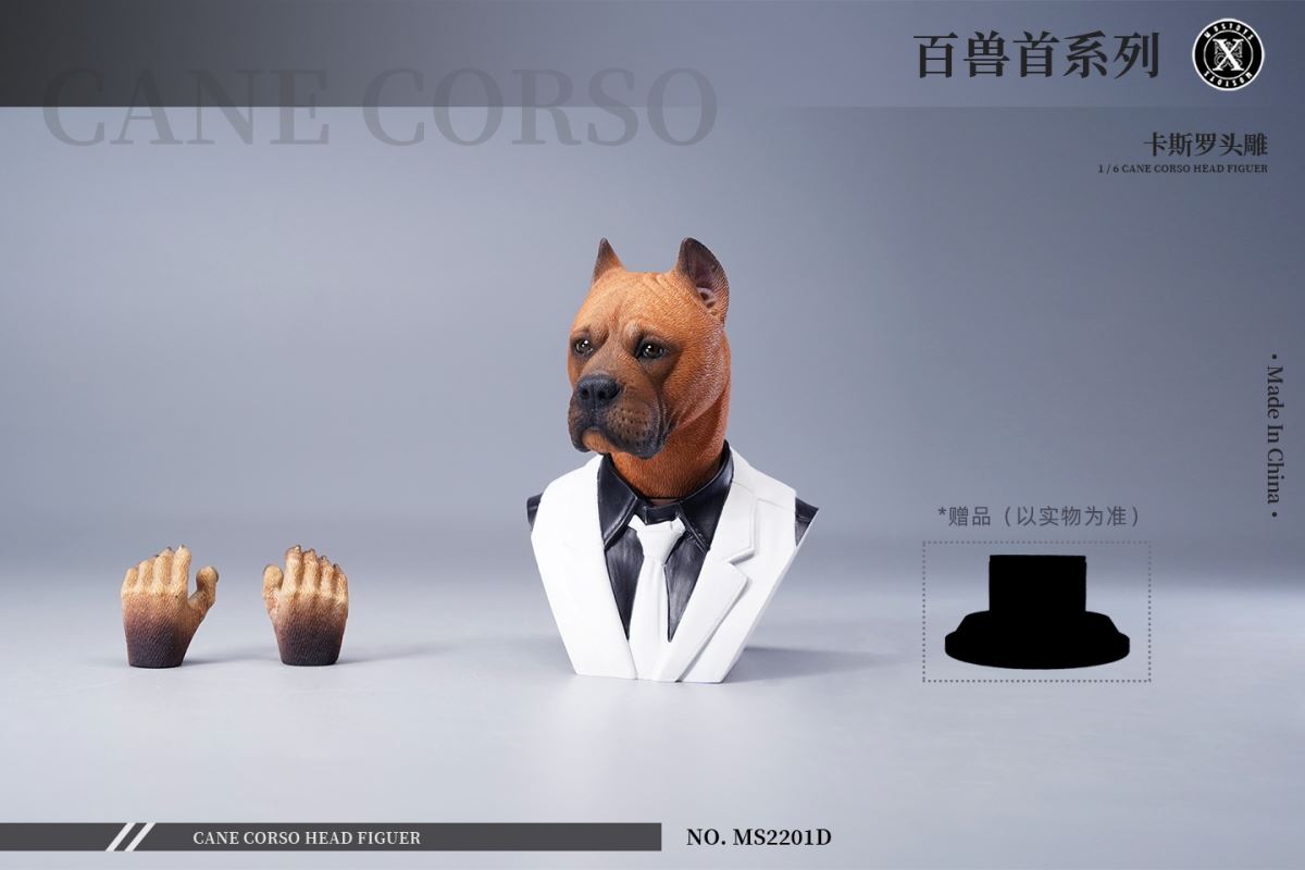 Cane Corso Head Figure 1/6