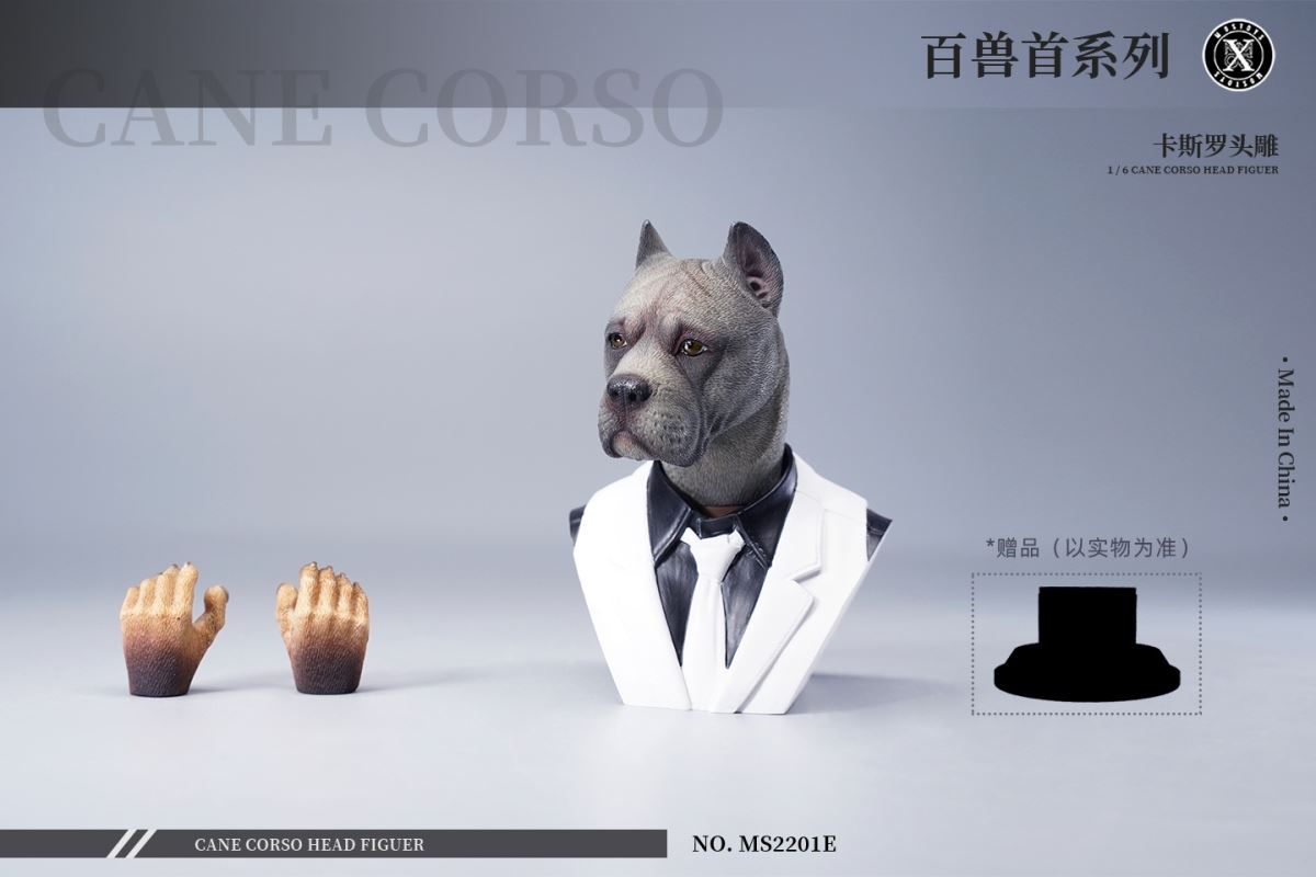 Cane Corso Head Figure 1/6