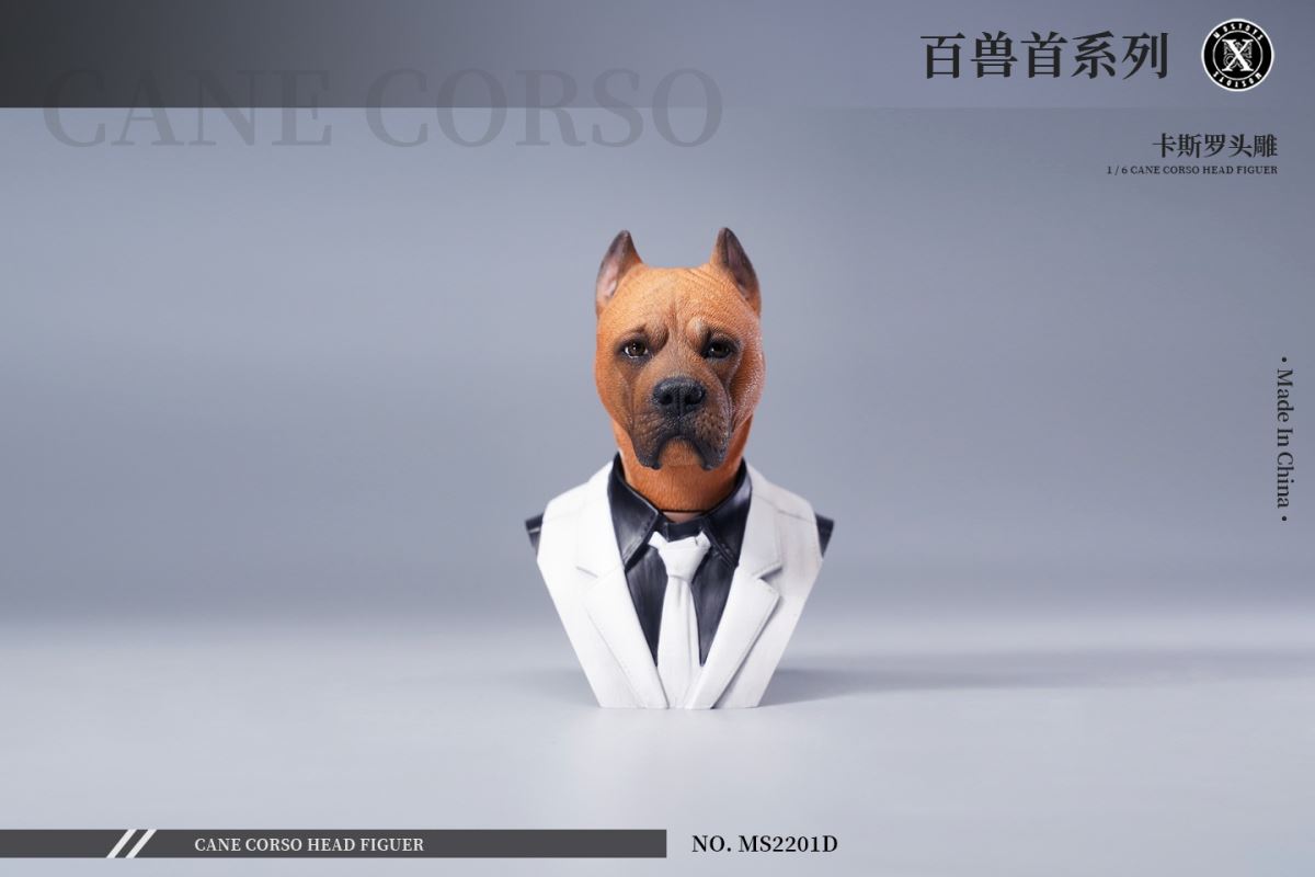 Cane Corso Head Figure 1/6