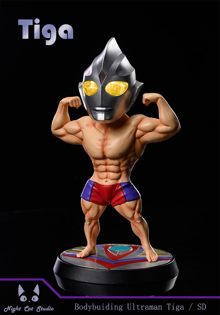 Body Building Ultraman Tiga / Zero