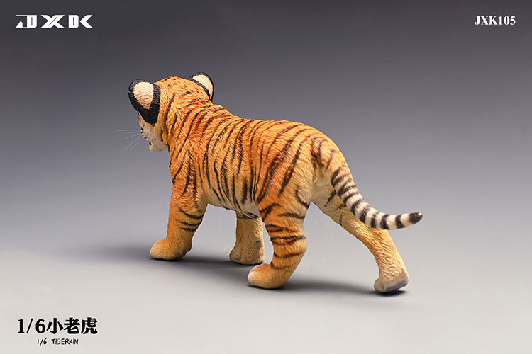 Tiger Kin 1/6
