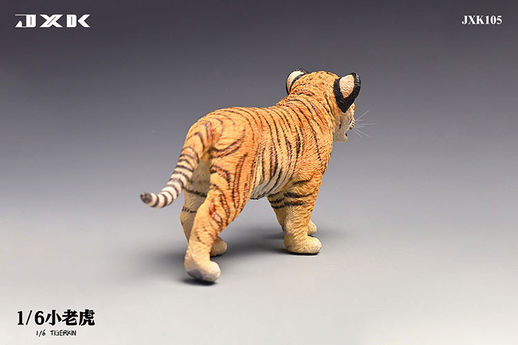 Tiger Kin 1/6