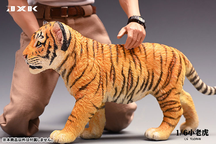 Tiger Kin 1/6