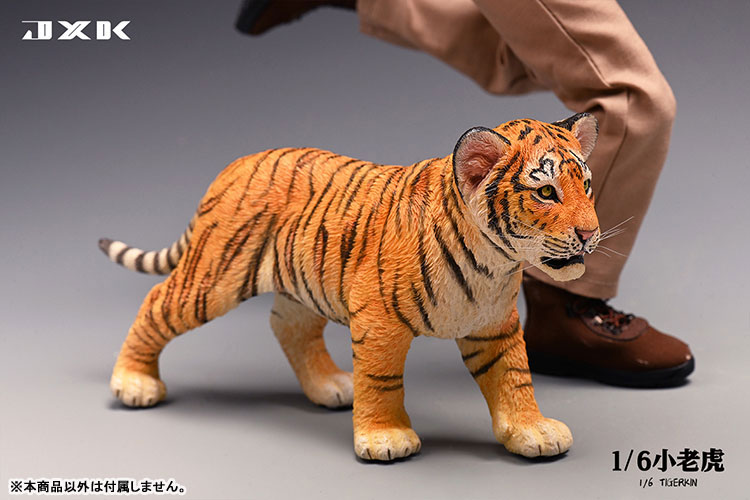 Tiger Kin 1/6