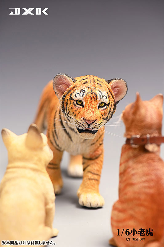 Tiger Kin 1/6