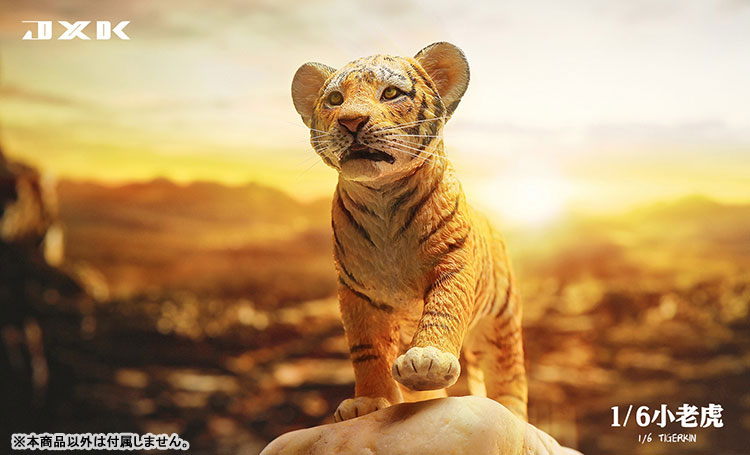 Tiger Kin 1/6