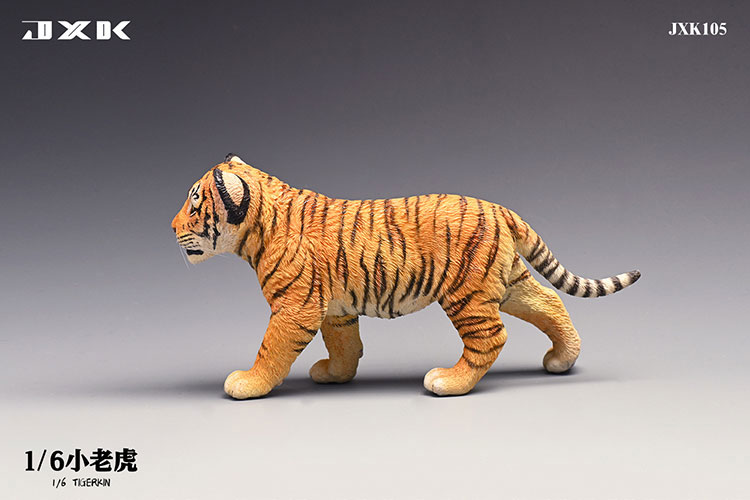 Tiger Kin 1/6