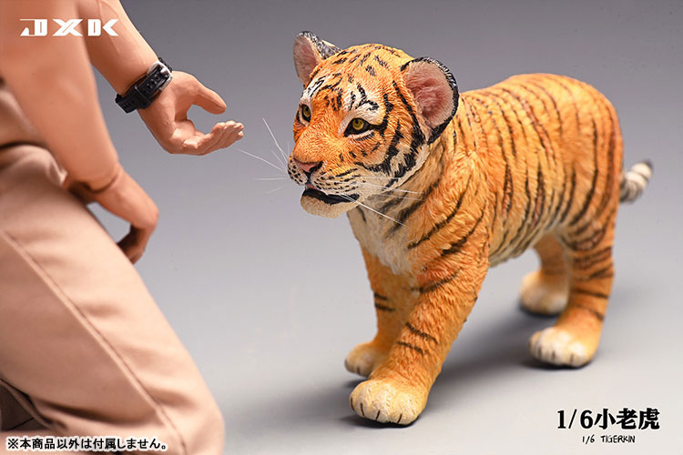Tiger Kin 1/6